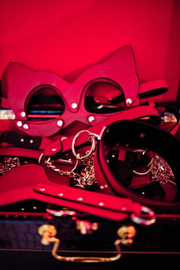 Love Room Donjon Dol In Love Bdsm Дол-де-Бретан Екстериор снимка